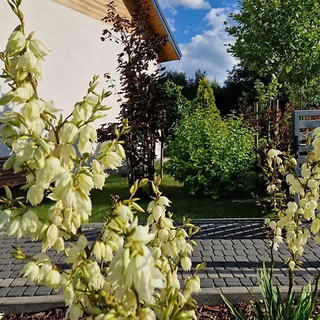 Tatil Evi Komfortowe W Pucku - Zacisze Puck