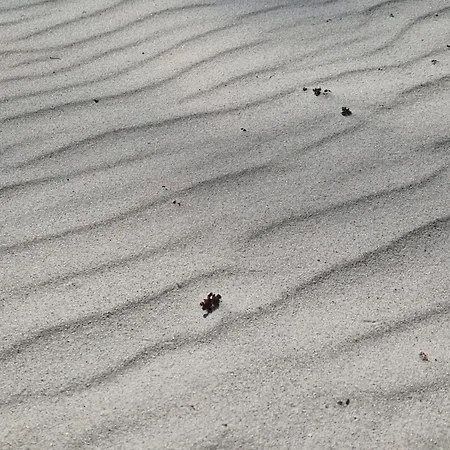 Komfortowe W Pucku - Zacisze * Puck