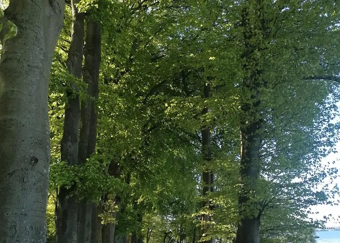 Komfortowe W Pucku - Zacisze Dom wakacyjny