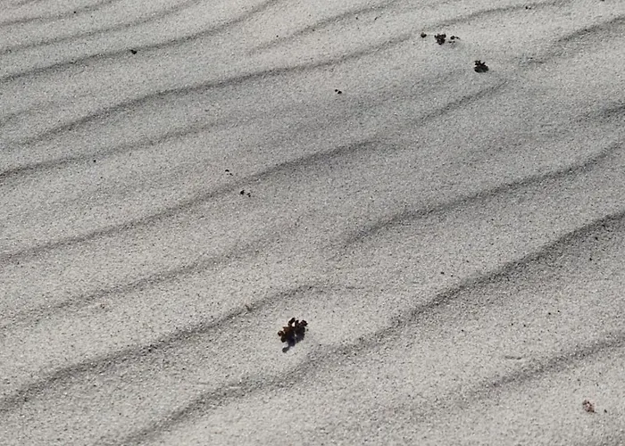 Komfortowe W Pucku - Zacisze * Puck